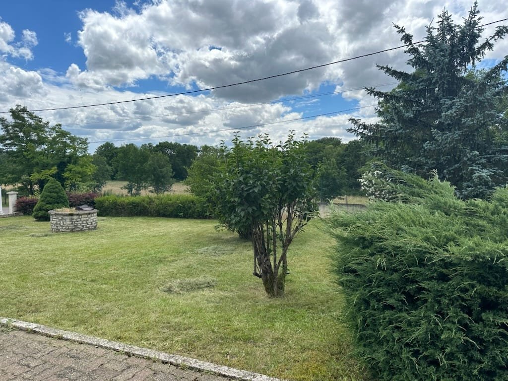 Élagage arbuste et entretien jardin — Élagage Stehly