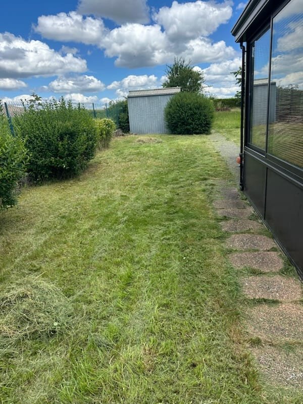 Débroussaillage terrain et remise en état — Élagage Stehly