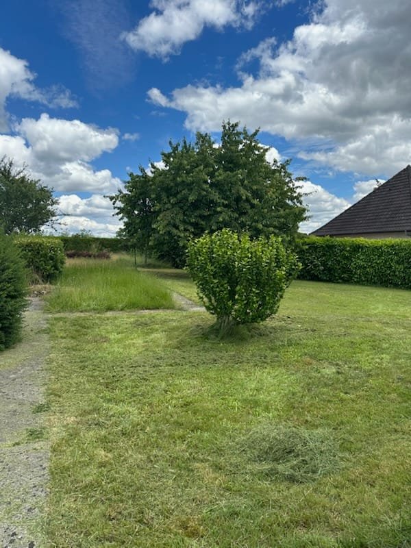 Entretien espace vert arbustes et pelouse — Élagage Stehly